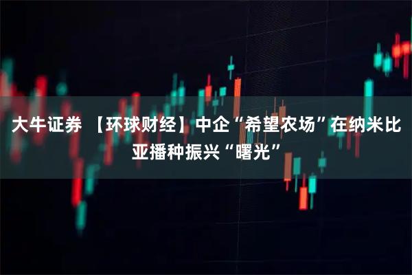 大牛证券 【环球财经】中企“希望农场”在纳米比亚播种振兴“曙光”